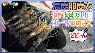 【釣蝦小益思】超級大公蝦  怎麼會有這種場??  #釣蝦 #i呀我的蛋 #新聞 #主播 Shrimpfishing  エビ釣り  새우 낚시