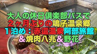 【#0602】大人の休日倶楽部パス前年度特別設定版で２ヶ月ぶりの鳴子温泉郷：１泊め・東鳴子赤這温泉阿部旅館で２種の浴槽ともにぬるめで濃ゆい＆東鳴子温泉焼肉八兆＆裏山他で野花愛でる【カタクリたくさん】