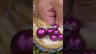 진주가 이래서 비싼거였네ㄷㄷ