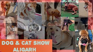 Dog🐕 and Cat🐈 Show | Aligarh | 2021 | Dog breeds that might be new for you |