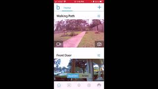 Blink Doorbell (Blink App View)