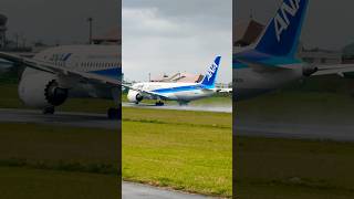 【JA812A】ANA Boeing 787-8 宮古空港離陸　#ana   #boeing787  #宮古空港