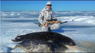 Hylkeen Metsästys/ Seal Hunting 2022