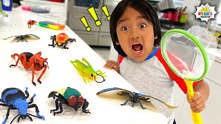 Ryan's Bug Catching Pretend Play and Learn Insect Facts for kids