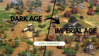 Age of Empires 2: Dark Age to Imperial Age Ambience | Rise and Fall Through the