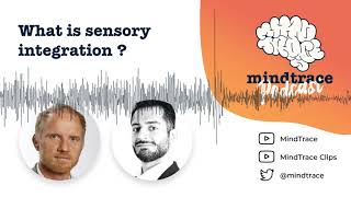 What is sensory integration?