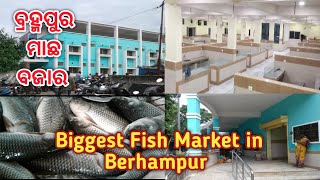 ବ୍ରହ୍ମପୁର ର କମାପଲ୍ଲୀ ମାଛ ବଜାର ! Kamapalli Fish Market ! Biggest Fish Market in Behampur !