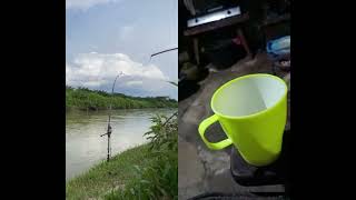 Joran melengkung #fishing #mancing #carpfishing #pancing #angler #metal