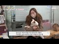 생방송 오늘 아침 꽁꽁 언 강에 버려진 강아지 mbc 220104 방송