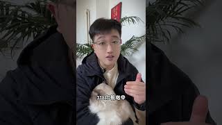 猫咪和你关系特别好，才会允许你做的五件事 Cats will only allow you to do things if they have a good relationship with you