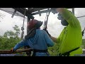 amazing zipline adventure amazing flight zipline in cozumel mexico