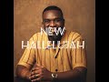 Joe Mettle -New Halleluyah (live) lyrics