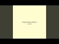 Pulse Dream Storm