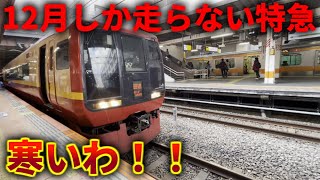 足利イルミネーション号253系1000番台に乗車しました　#JR東日本　＃足利イルミネーション号　＃253系