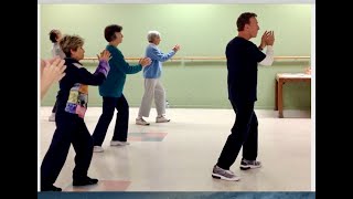 Easy Senior & Elderly TaiChi & Qigong - Don Fiore