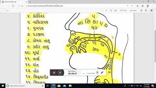 માન્ય ગુજરાતી ભાષાના ધ્વનિઘટકો (1)  ઉચ્ચારણ પ્રક્રિયા ( part-3) online video cutter com 2