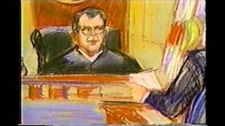 United States Government The Judicial Branch
