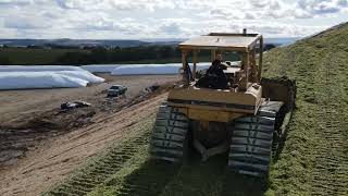 packing the pit with corn silage