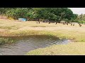 travel vlog chaliyar childrens park murinjamadu kizhuparamba