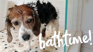 Molly Is In Trouble