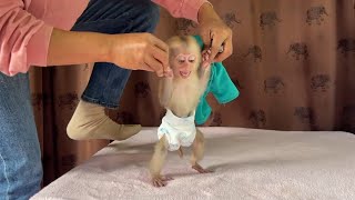 ATong Feeling Scare When Mom Hold His Hand To Walk Two Legs