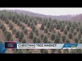 White House Christmas tree selected from Avery County farm