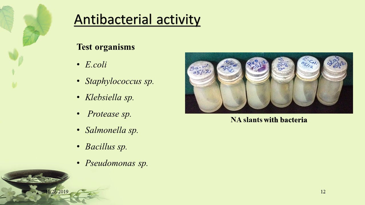 NUTRITIONAL, PHYTOCHEMICAL AND ANTIBACTERIAL ACTIVITY OF SOLVENT ...