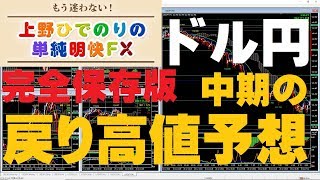 【完全保存版】ドル円、年末年始の戻り高値予想とトレード戦略【MT4フィボナッチFX】