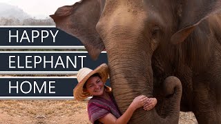 Ethical or Nah? | Visiting Happy Elephant Home in Chiang Mai | Thailand