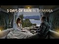 VAN CAMPING IN THE RAIN [ 5 days of Van Life in rainy Tasmania, ASMR ] SoC ep24