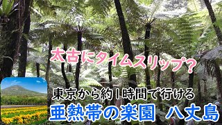 【解説付】亜熱帯の楽園、八丈島(東京都)-Hachijojima, Tokyo, Japan-