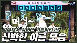 [#예능_직박구리] 이게 진짜 이름이라고ㅇ0ㅇ;;? 도랏ㅋㅋㅋㅋㅋㅋ MBN 20200630 방송