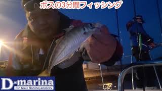 D-marina発　アジの釣り方　