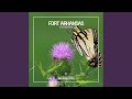 Casablanca (Original Club Mix)