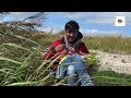 caravan in moffat karma drubgyu monastary girven beach scotland