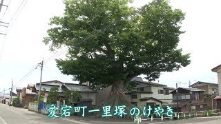 時を越え あきた～森の巨人と水の旅人～　湯沢市