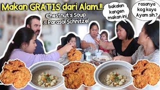 AKHIRNYA MAKAN SOUP CHESTNUTS \u0026 PARASOL JUGA.! MENU HASIL PANEN SEMUA, GRATIS DARI ALAM