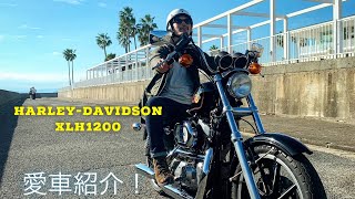 Harley-Davidson XLH1200 愛車紹介&エンジン始動！スポーツスター　sportster