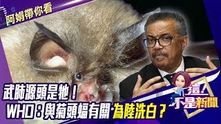 武肺源頭是牠！ WHO：與菊頭蝠有關聯 為陸洗白？！-【阿娟精選帶你看】東森財經獨播20200213