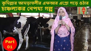 কুমিল্লায় এত বড় ডেইরি খামার গড়ে উঠলো কি করে | How to make biggest dairy Farm