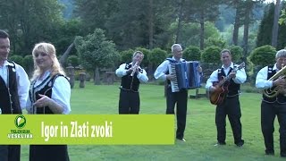 IGOR IN ZLATI ZVOKI - Poštar