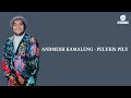 ANDMESH KAMALENG - PELUKIS PILU (Lyrics Video)