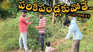 పరికిపండ్లకువోతే | PARIKI PANDLAKU VOTHE | VILLAGE COMEDY | MADE IN VILLAGE