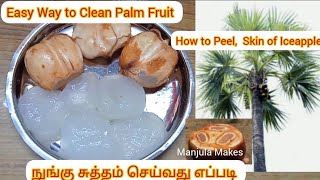 How to peel skin of Palm Fruit | Easy way to peel Nungu Skin, Ice Apple Cleaning | Manjula Makes