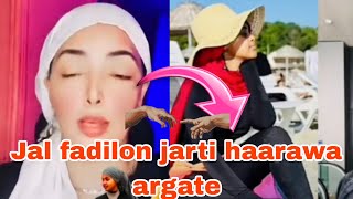 Hati faxee heddu aarte jal fadilon jaarti haarawa argate