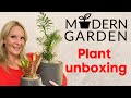 PLANT unboxing MODERN GARDEN Croton Petra & Parlor Palm with MOODY BLOOMS