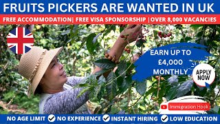 UK Fruits Picking Jobs with Free Visa Sponsorships Direct Recruiter