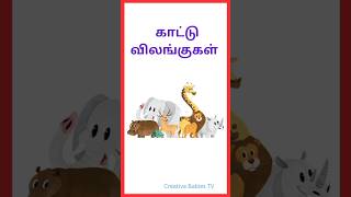 காட்டு விலங்குகள் l Animals Learning for Children #விலங்குகள் #animalsname #creativebabiestv