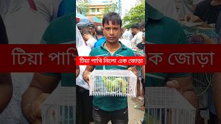 টিয়া পাখি নিলো এক জোড়া |  Tiya Pakhi | Pakhi | Mirpur 1 Pakhir Hat | Tia Pakhi | Parrot #shorts