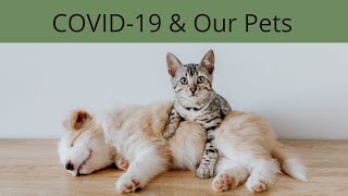 COVID-19 And Your Pets